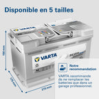Batterie de démarrage AGM 12V 80Ah 800A Silver Dynamic XEV A6 580901080 pour voiture Start-Stop avec borne SAE