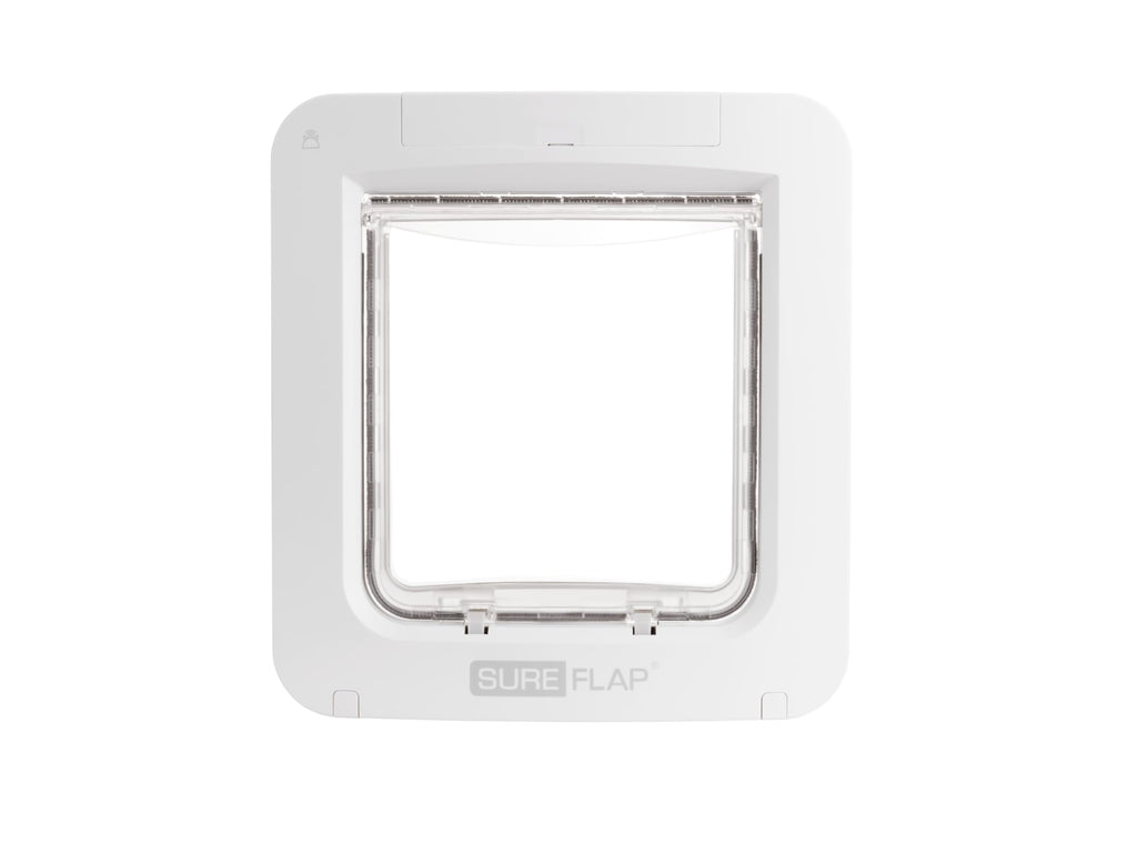 Chatière électronique Connect iMPDWT pour chat et chien avec identification RFID micropuce contrôle application ouverture sélective
