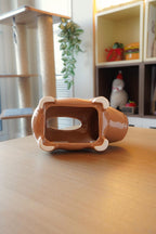 Capybara Couvercle Boîte à Mouchoirs en Céramique, Décoration Maison Salle de Bain