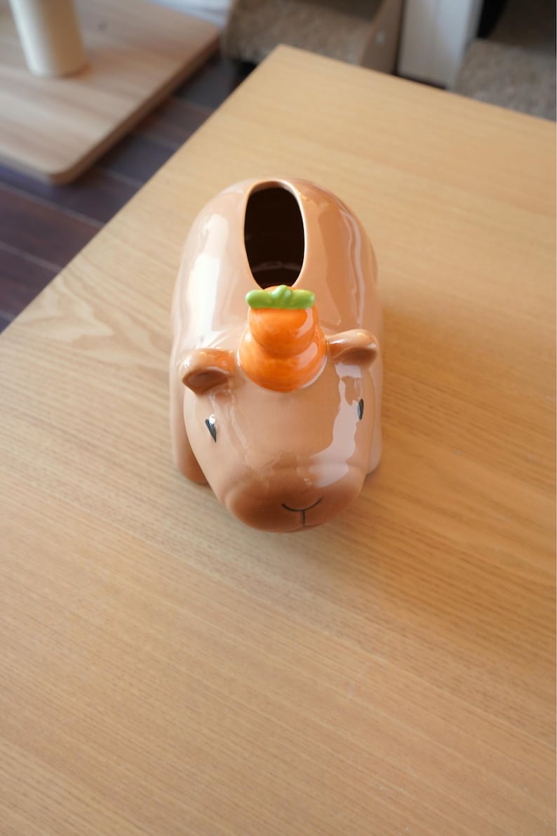Capybara Couvercle Boîte à Mouchoirs en Céramique, Décoration Maison Salle de Bain