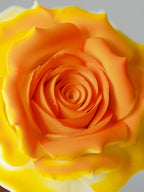 Rose manta orange en céramique, fleur éternelle décorative, décoration intérieur moderne, 8,7 cm