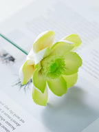 Rose en céramique anémone verte, fleur éternelle, décoration d'intérieur moderne