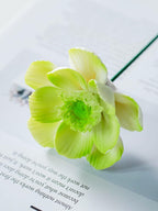 Rose en céramique anémone verte, fleur éternelle, décoration d'intérieur moderne