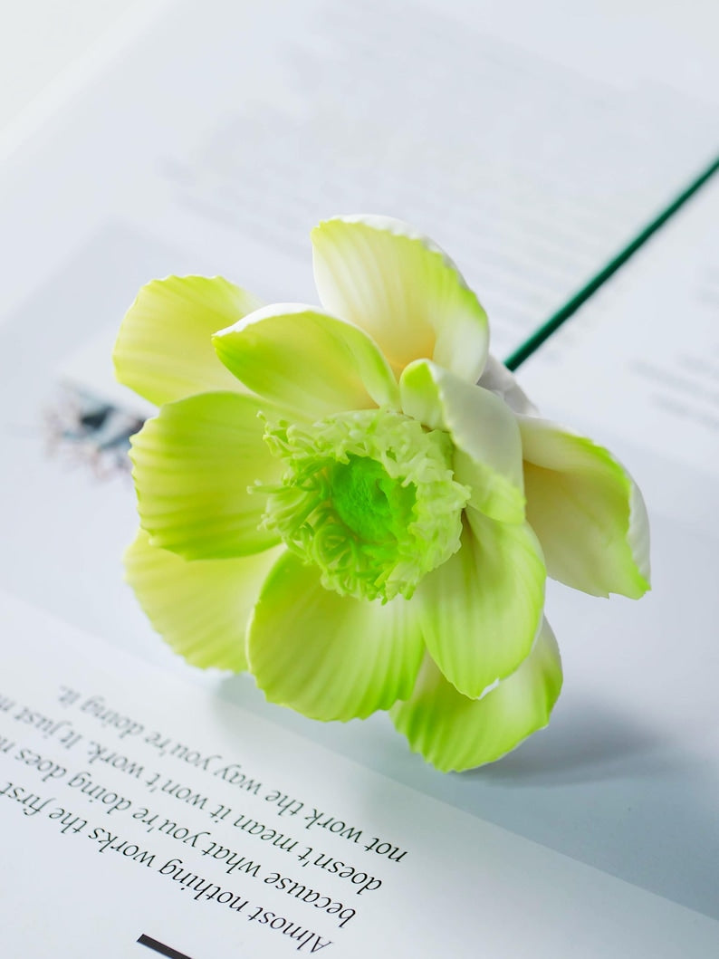 Rose en céramique anémone verte, fleur éternelle, décoration d'intérieur moderne