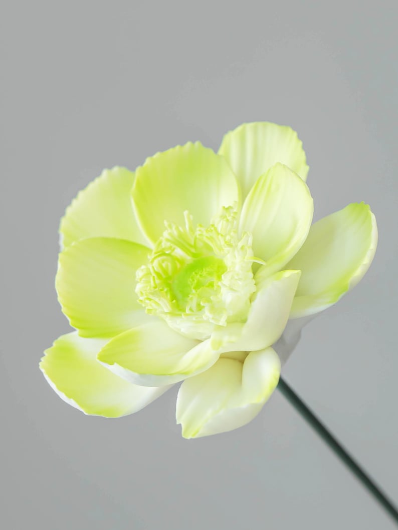 Rose en céramique anémone verte, fleur éternelle, décoration d'intérieur moderne