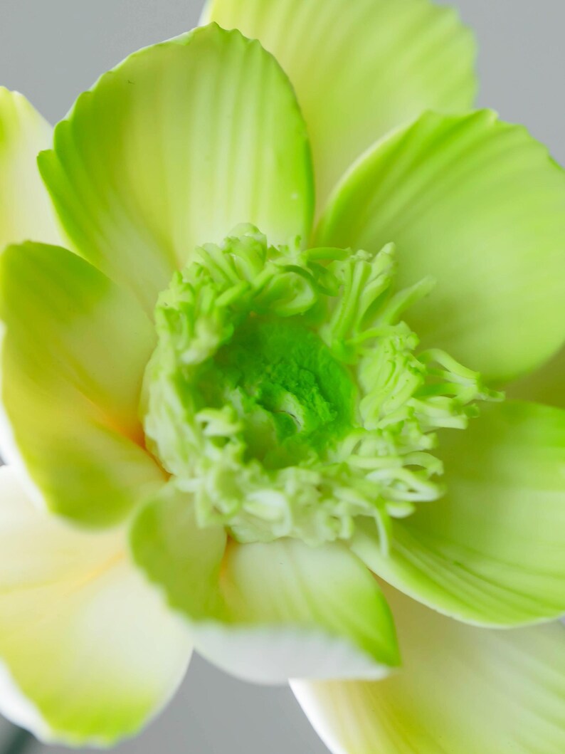 Rose en céramique anémone verte, fleur éternelle, décoration d'intérieur moderne
