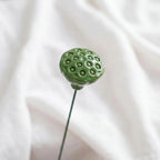 Tiges de plantes artificielles en céramique, feuille de lotus, gousse de lotus, trèfle à quatre feuilles, bouton de tulipe, décoration pour vase, imitation verdure, sans entretien