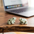 Petite grenouille en céramique décoration de bureau zen accessoire miniature
